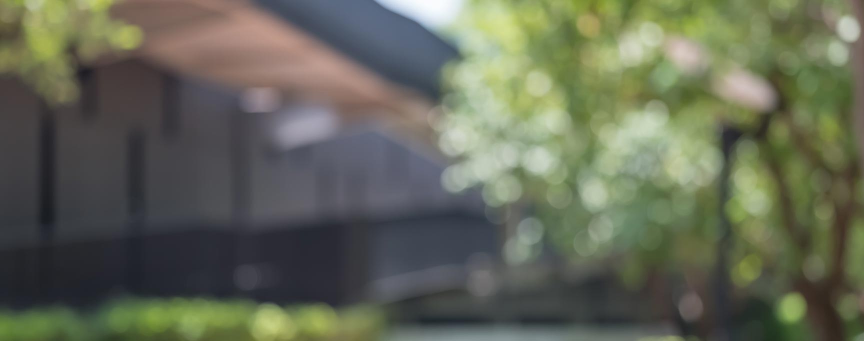 Blurry image of office building with trees