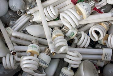 lightbulb recycling